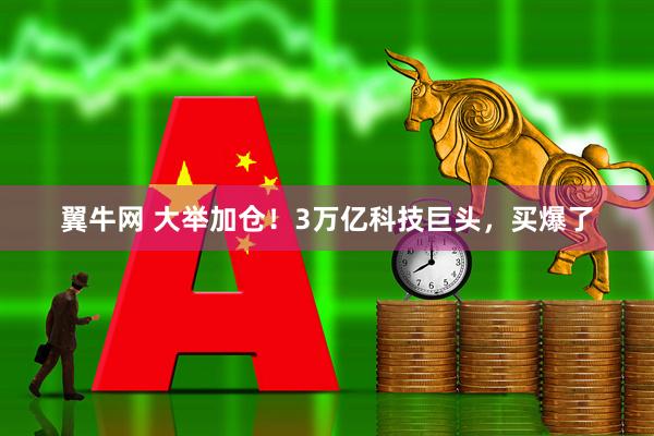 翼牛网 大举加仓！3万亿科技巨头，买爆了