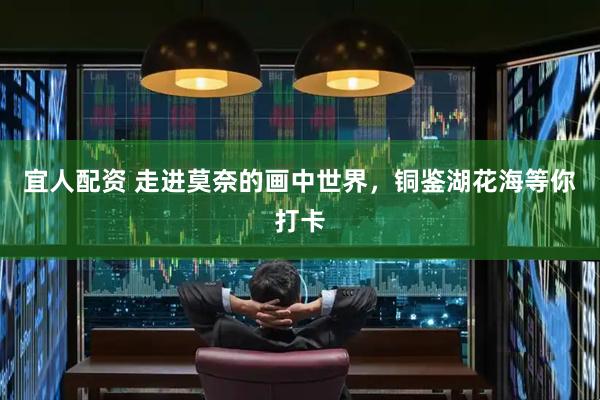 宜人配资 走进莫奈的画中世界，铜鉴湖花海等你打卡