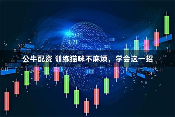 公牛配资 训练猫咪不麻烦，学会这一招