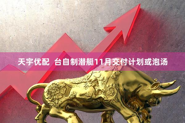 天宇优配  台自制潜艇11月交付计划或泡汤